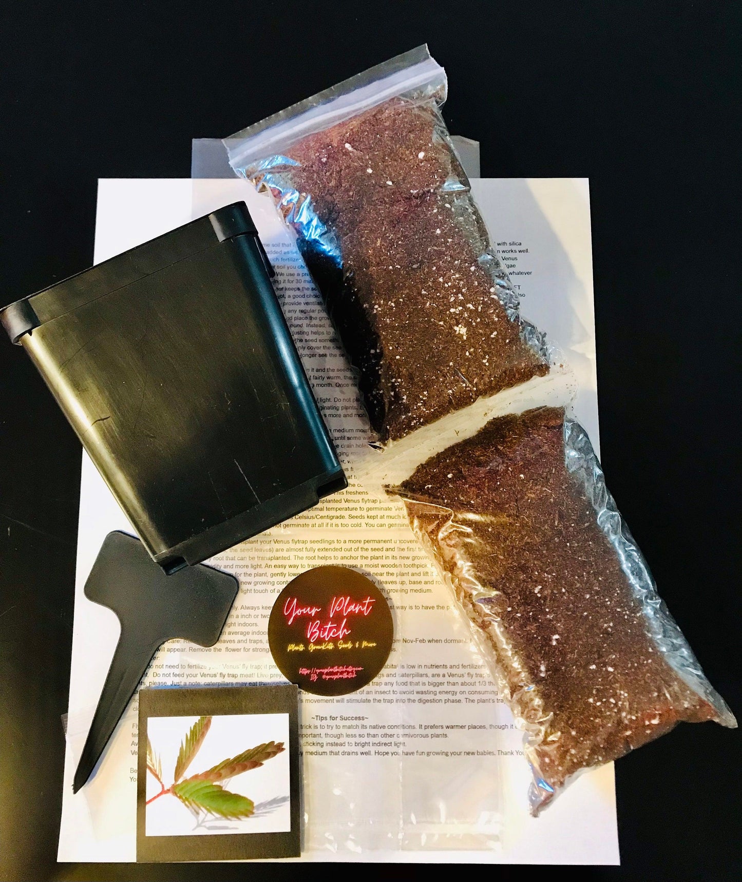 Black Lady’s Slipper Orchid Starter Grow Kit ~ Gift Ideas ~ Fun Projects ~ Holiday Gift Ideas ~ Presents ~ Stocking Stuffers ~ Plant Lover