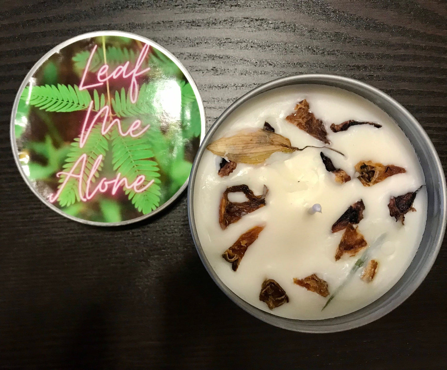 Leaf Me Alone Sticker ~ Mimosa Pudica ~ Sensitive Plant ~ Decals ~ Decal ~ Stickers