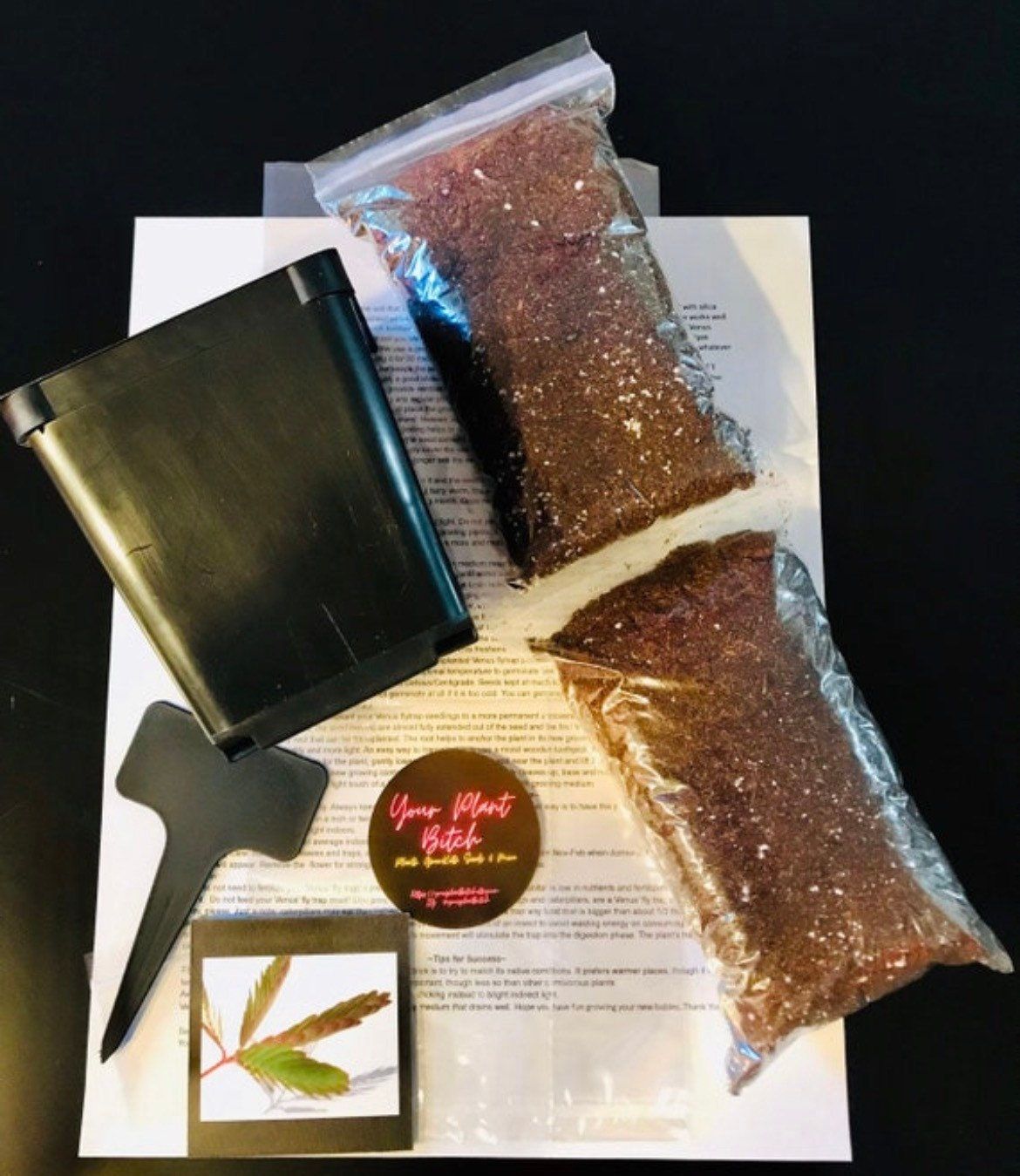 Pink Lady’s Slipper Orchid Starter Grow Kit ~ Cypripedium Parviflorum ~ Stocking Stuffers ~ Fun Projects