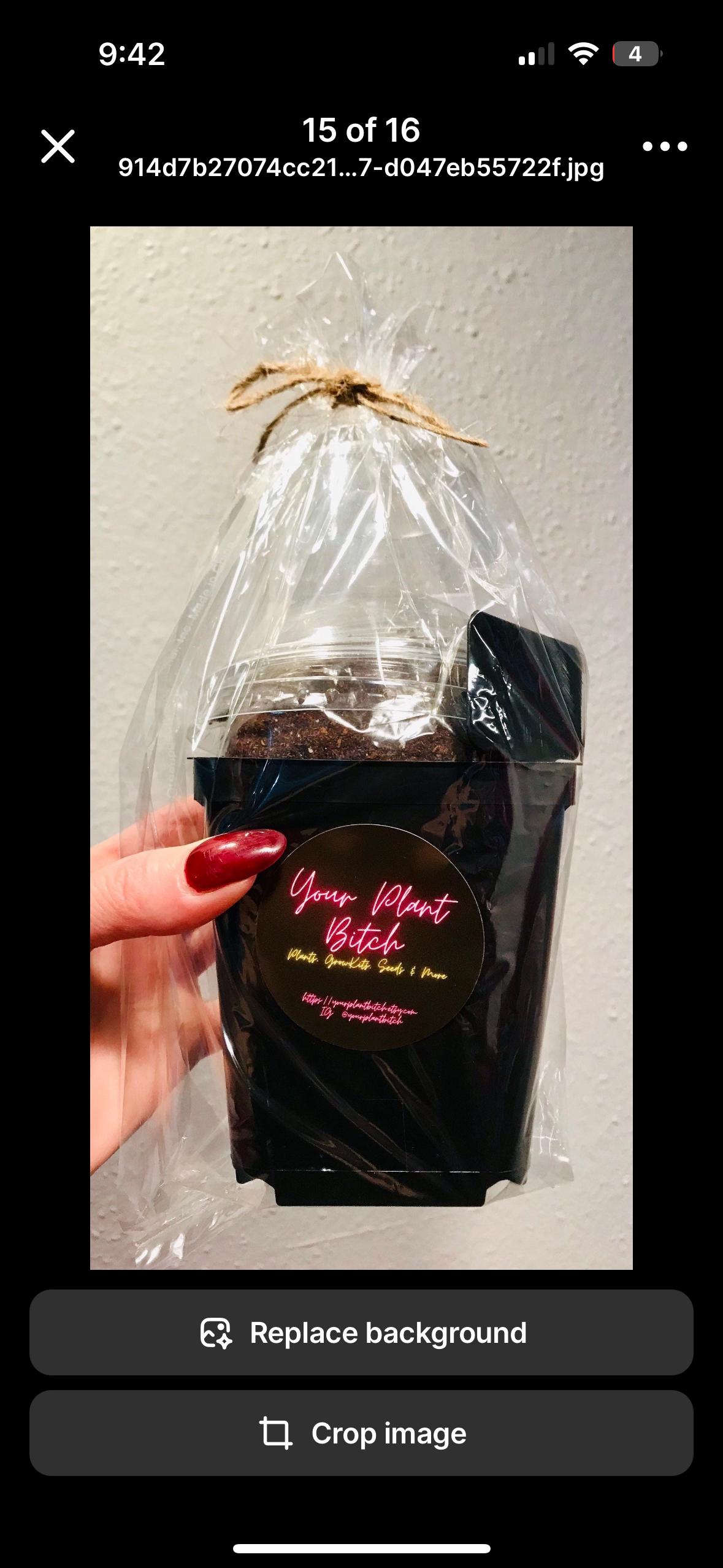 Showy Lady’s Slipper Orchid Starter Grow Kit ~ Cypripedium Parviflorum ~ Stocking Stuffers ~ Fun Projects