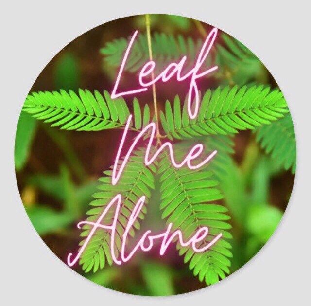 Leaf Me Alone Sticker ~ Mimosa Pudica ~ Sensitive Plant ~ Decals ~ Decal ~ Stickers