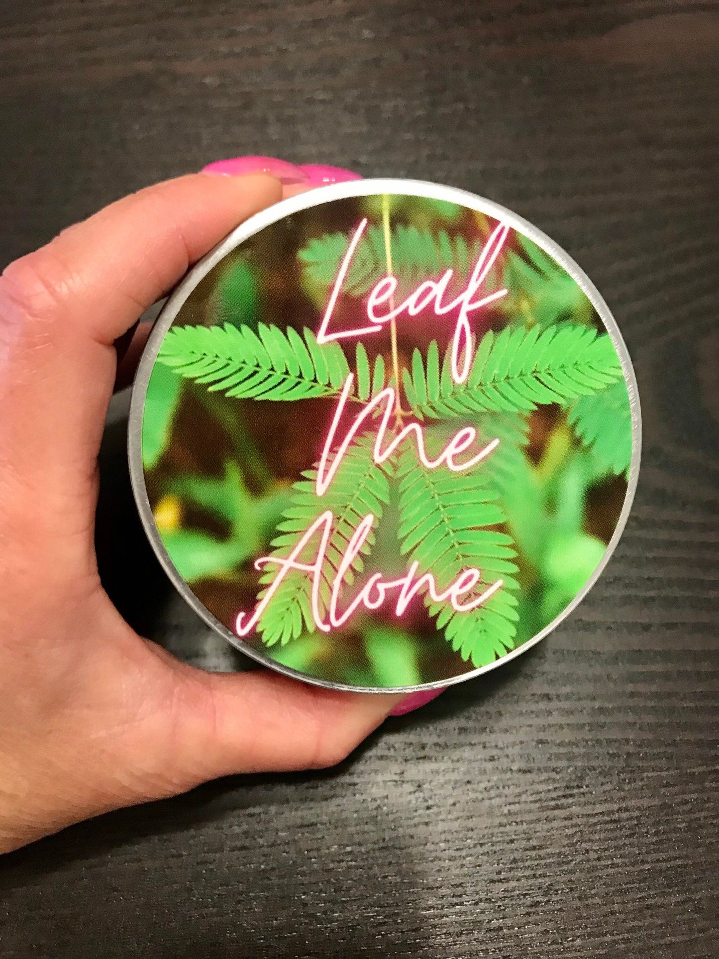 Leaf Me Alone Sticker ~ Mimosa Pudica ~ Sensitive Plant ~ Decals ~ Decal ~ Stickers