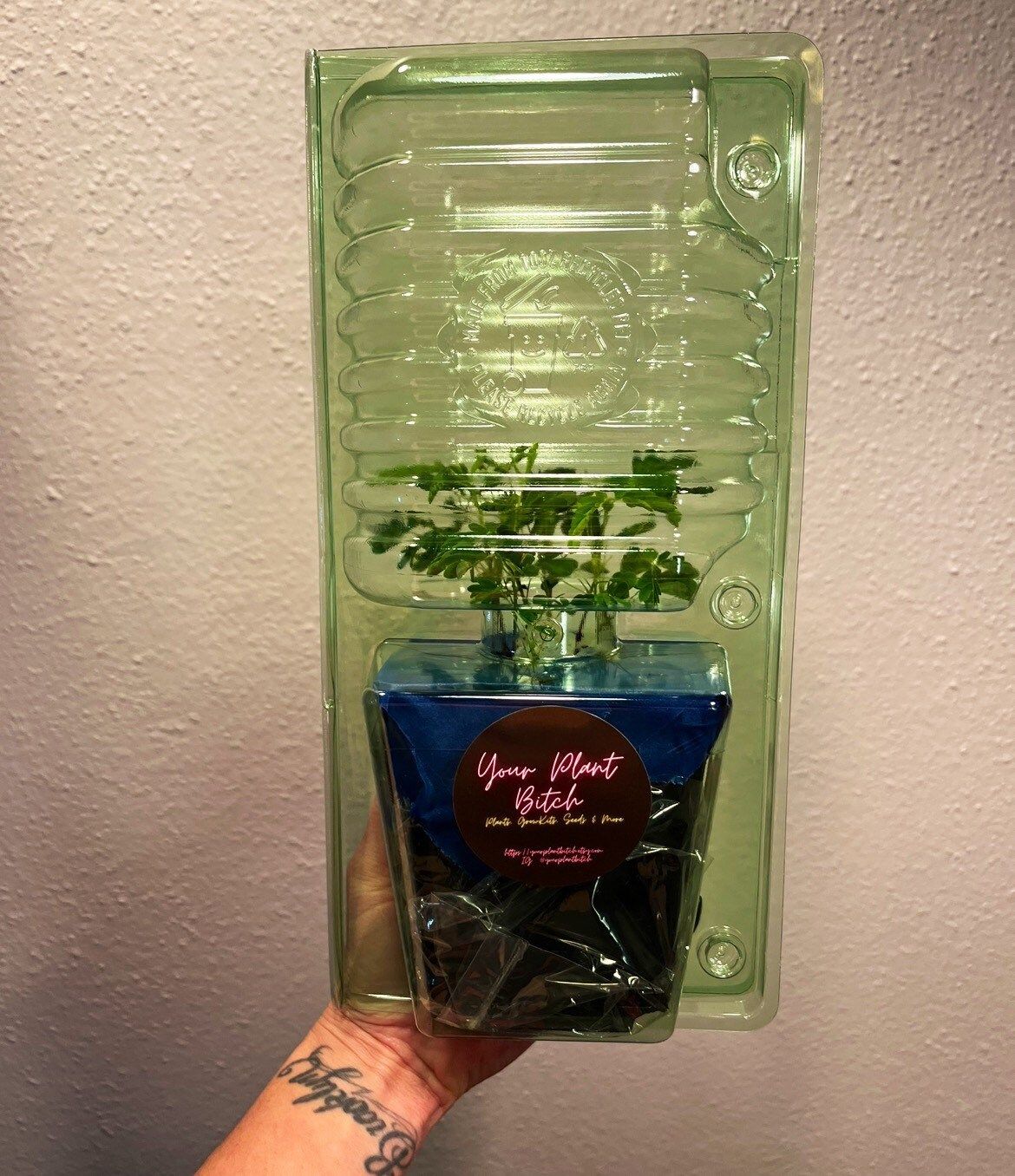 Clam-Shell Plant Protector for Shipping ~ “Add-On” item, for my Plant purchase ONLY!