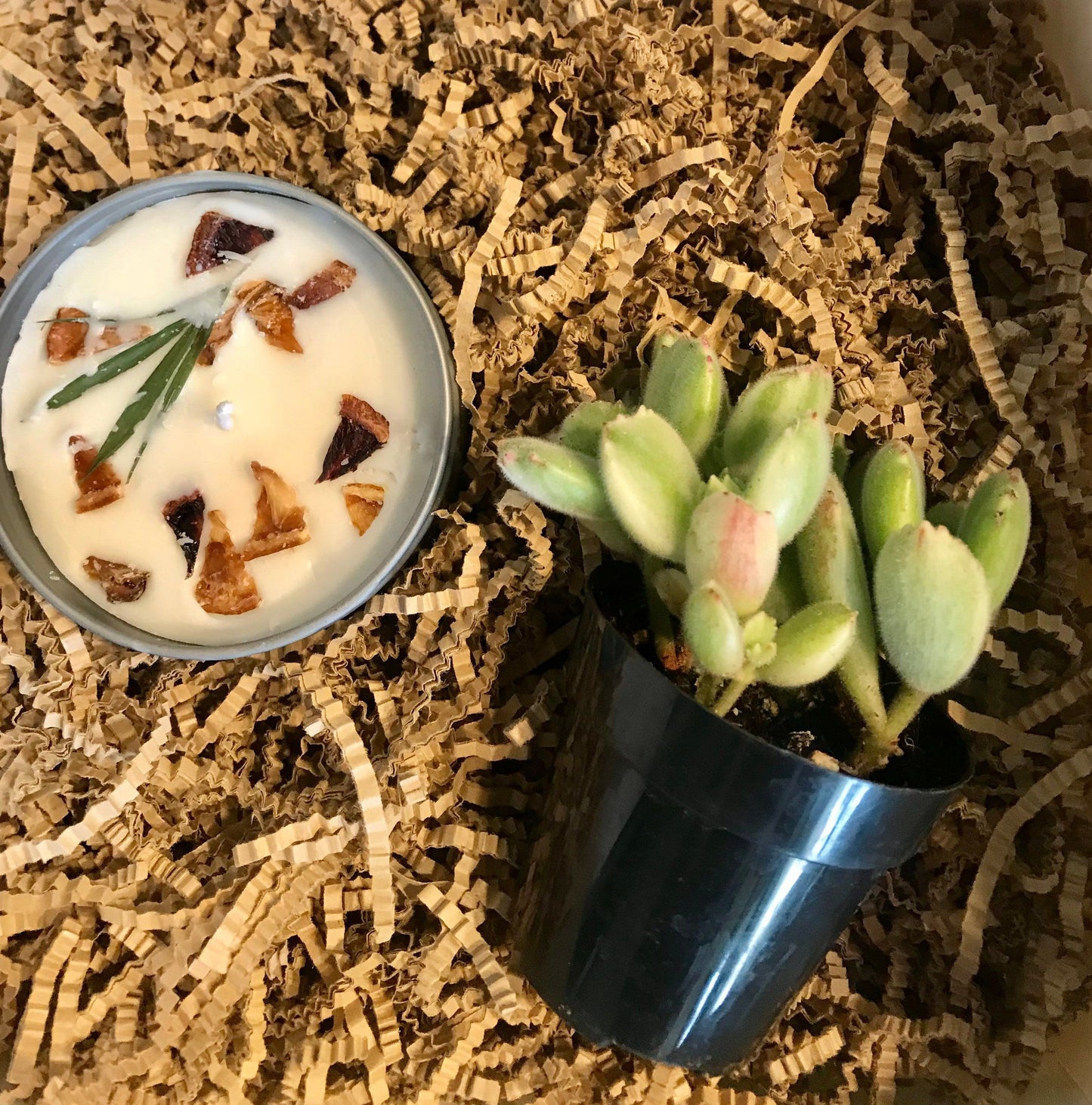 Succulent & Candle Gift Box~ Birthday Present ~ Thank You ~ Congratulations ~ Housewarming~ ALL Special Occasions