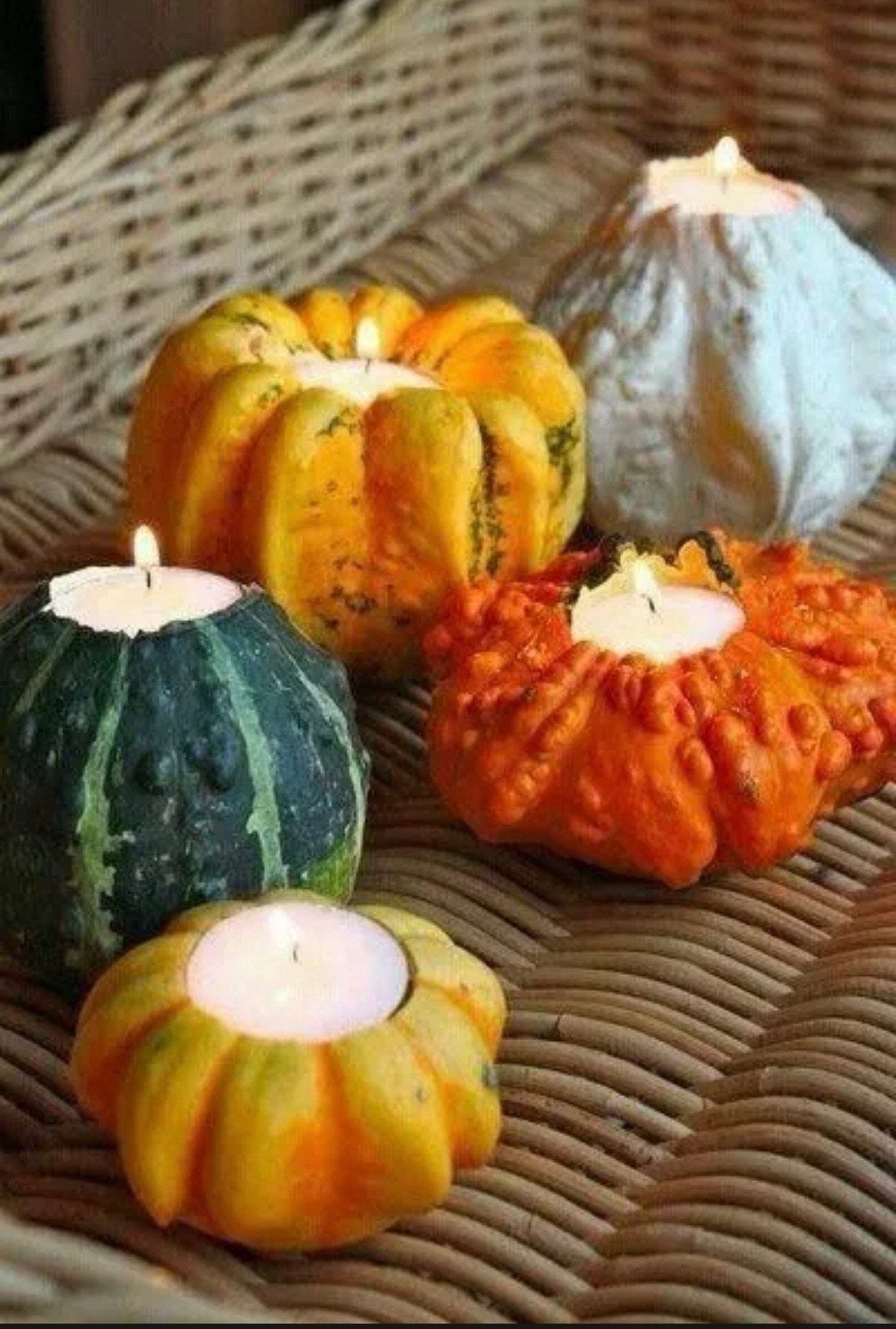 Decorative Mix Gourd Seeds ~ Grow Your Own ~ Crafts ~ Autumn