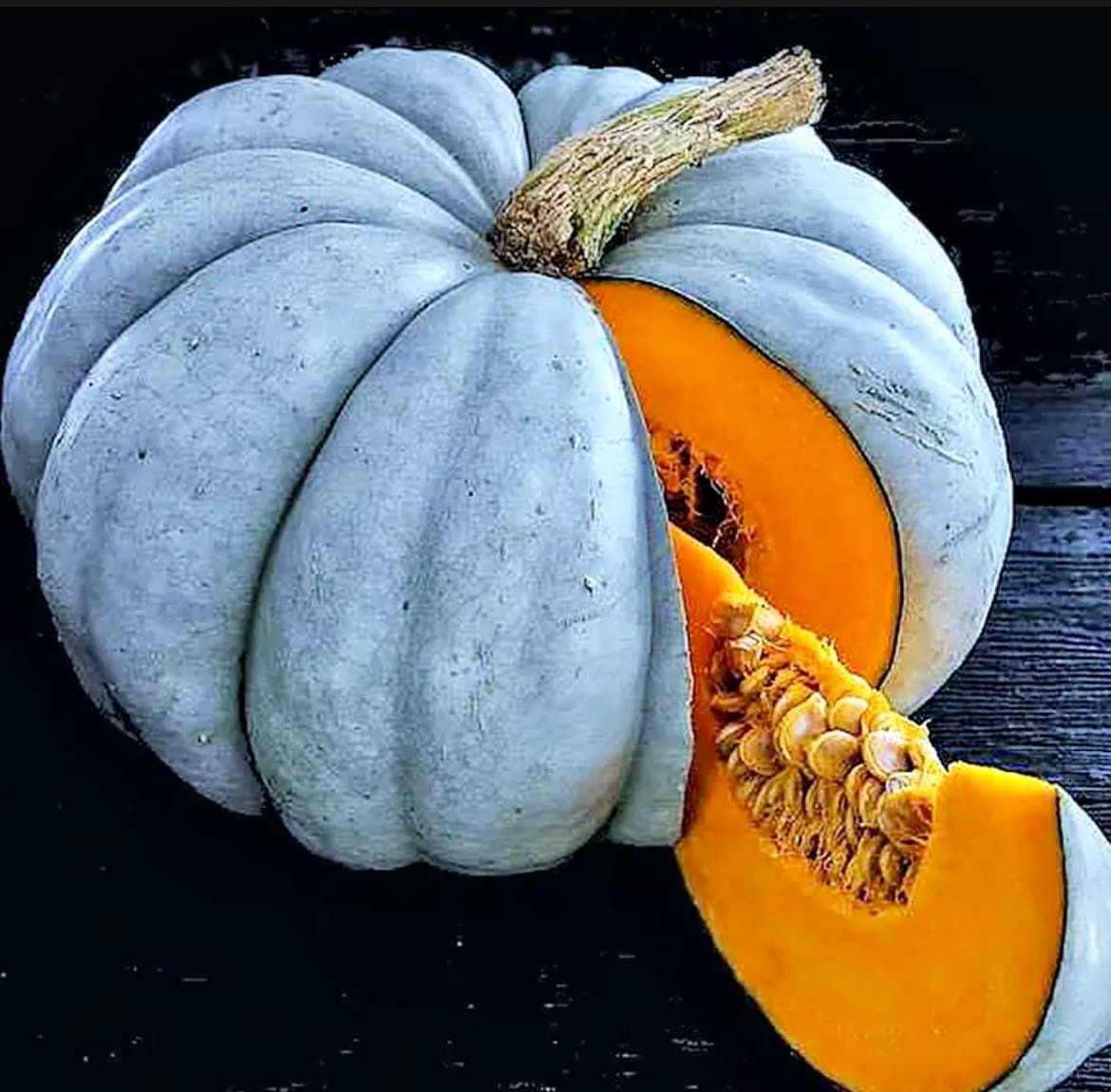 Jarrahdale Blue Pumpkin Seeds ~ Jarradale Queensland ~ Fairytales ~ Cinderella ~ Autumn