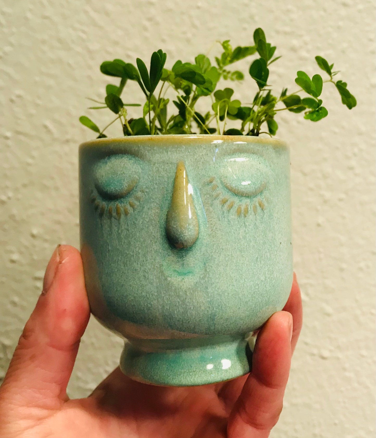 RARE Mimosa Pudica Plant~Touch-Me-NOT Baby Plant with Ceramic Face Pot~Sleepy Plant~Sensitive Plant~Shame Plant~Action Plant~Zombie Plant