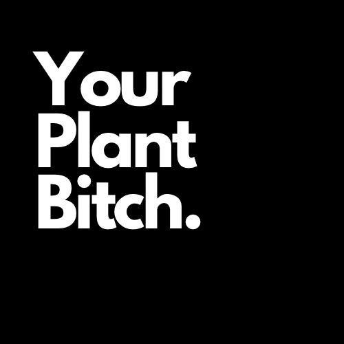 Your Plant Bitch