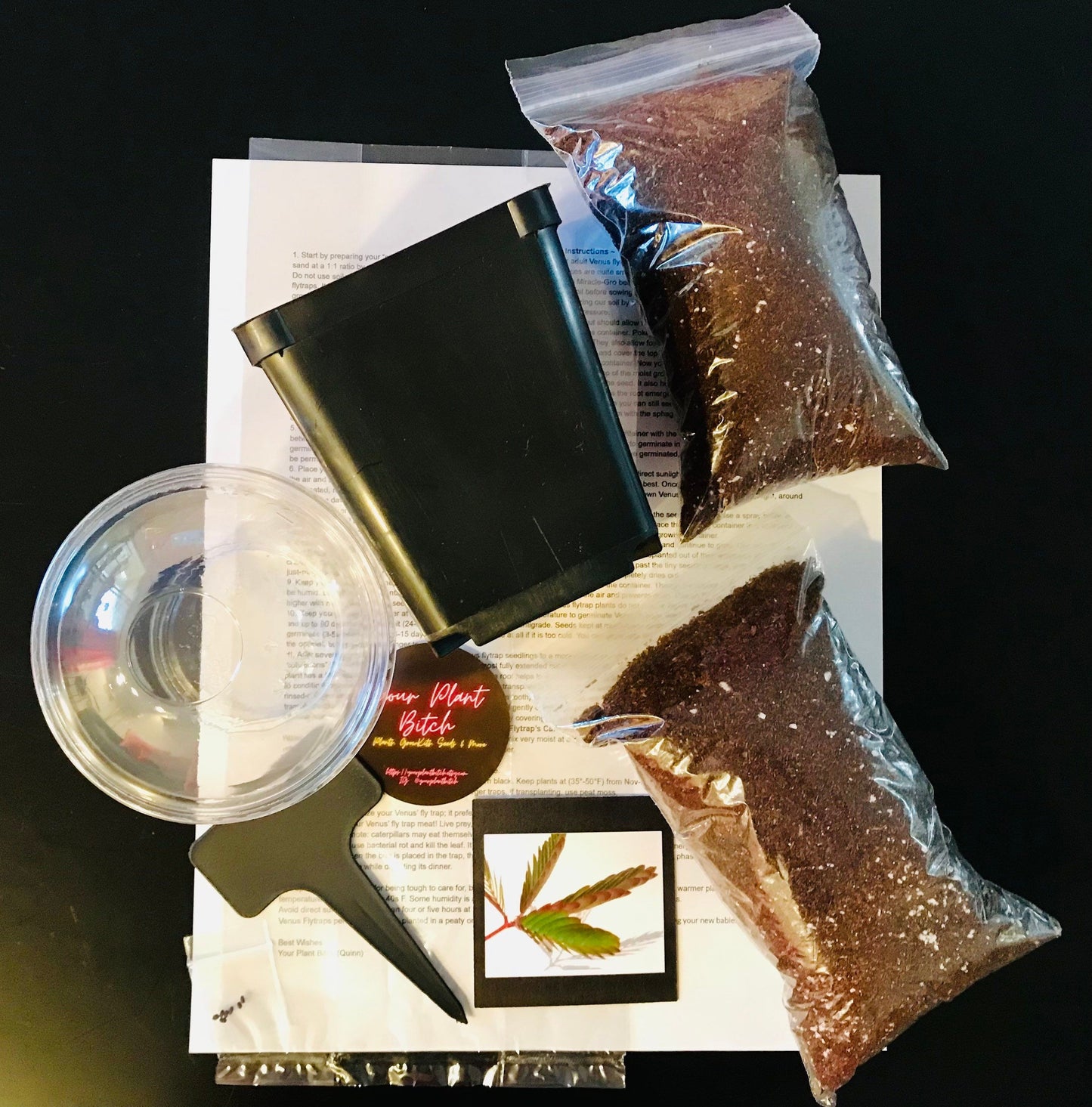 Venus Flytrap Starter Grow Kits~Carnivorous Plants~Science Projects~Grow Your Very Own~Carnivore ~Stocking Stuffers~Holiday Gift Ideas