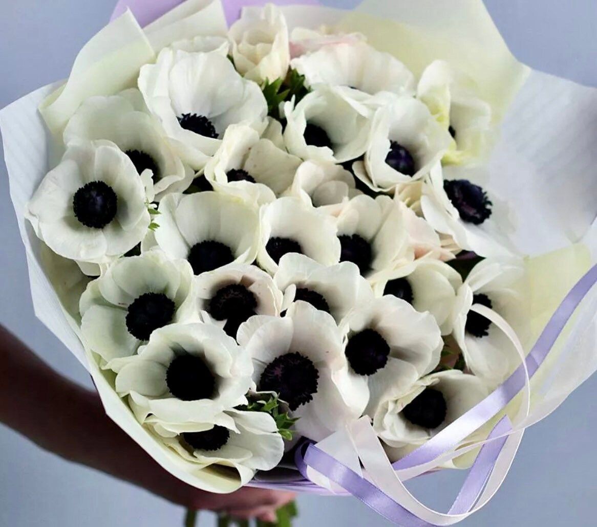 Japanese Anemone Seeds ~ Anemone Hupehensis ~ Marianne Panda ~ Wildflowers ~ Heirloom ~ Bouquet ~ Fresh Cut Flowers ~ Wedding ~ Floral