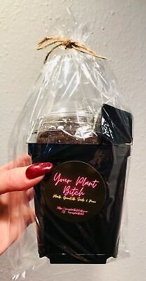Black Lady’s Slipper Orchid Seeds ~ Lady Slipper Orchids ~ Slipper Orchids ~