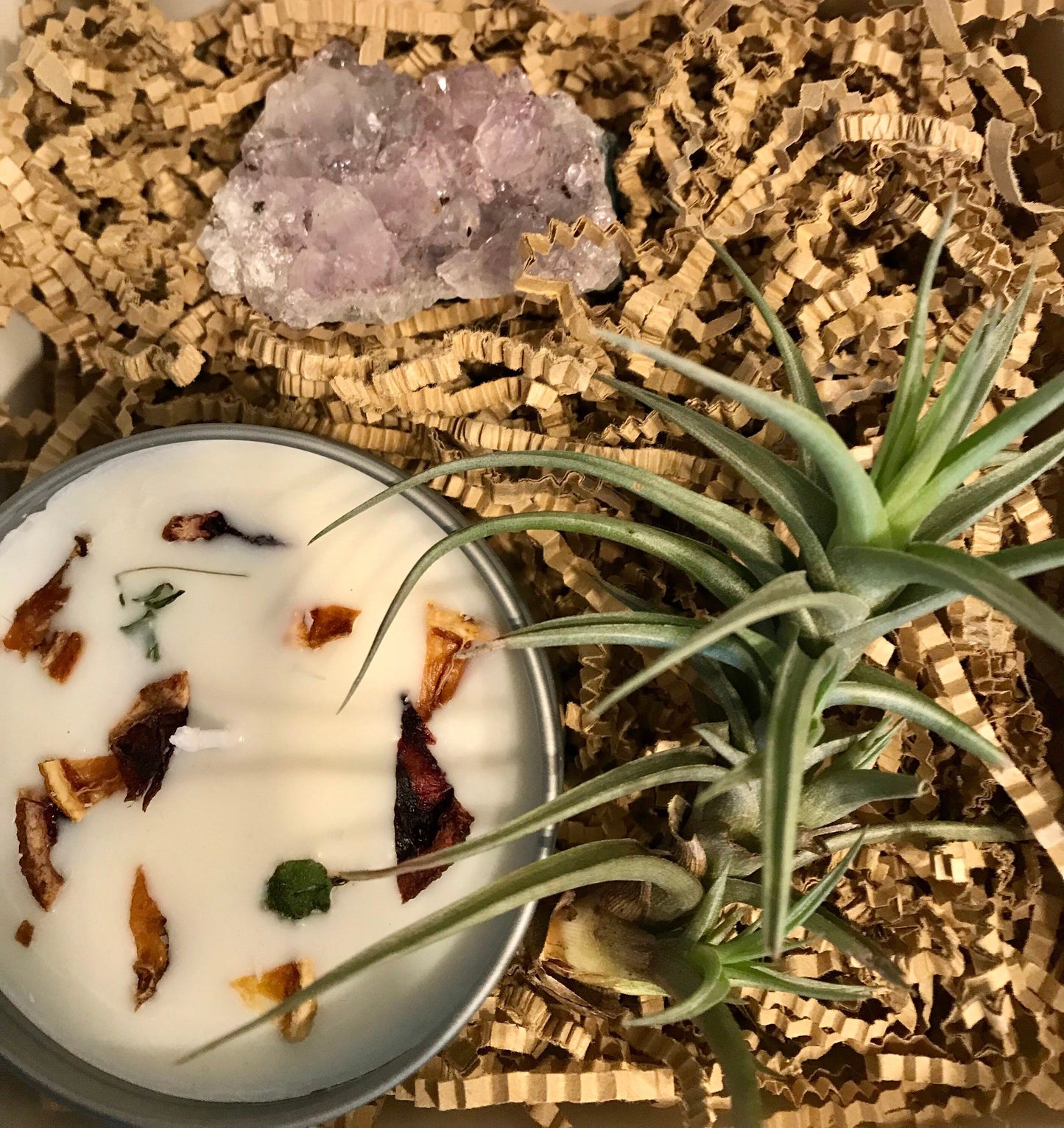 Your Plant Bitch’s Coastal Palm ~ Soy Wax Candle ~ Housewarming Gifts ~ Special Occasions ~ Birthday Gifts