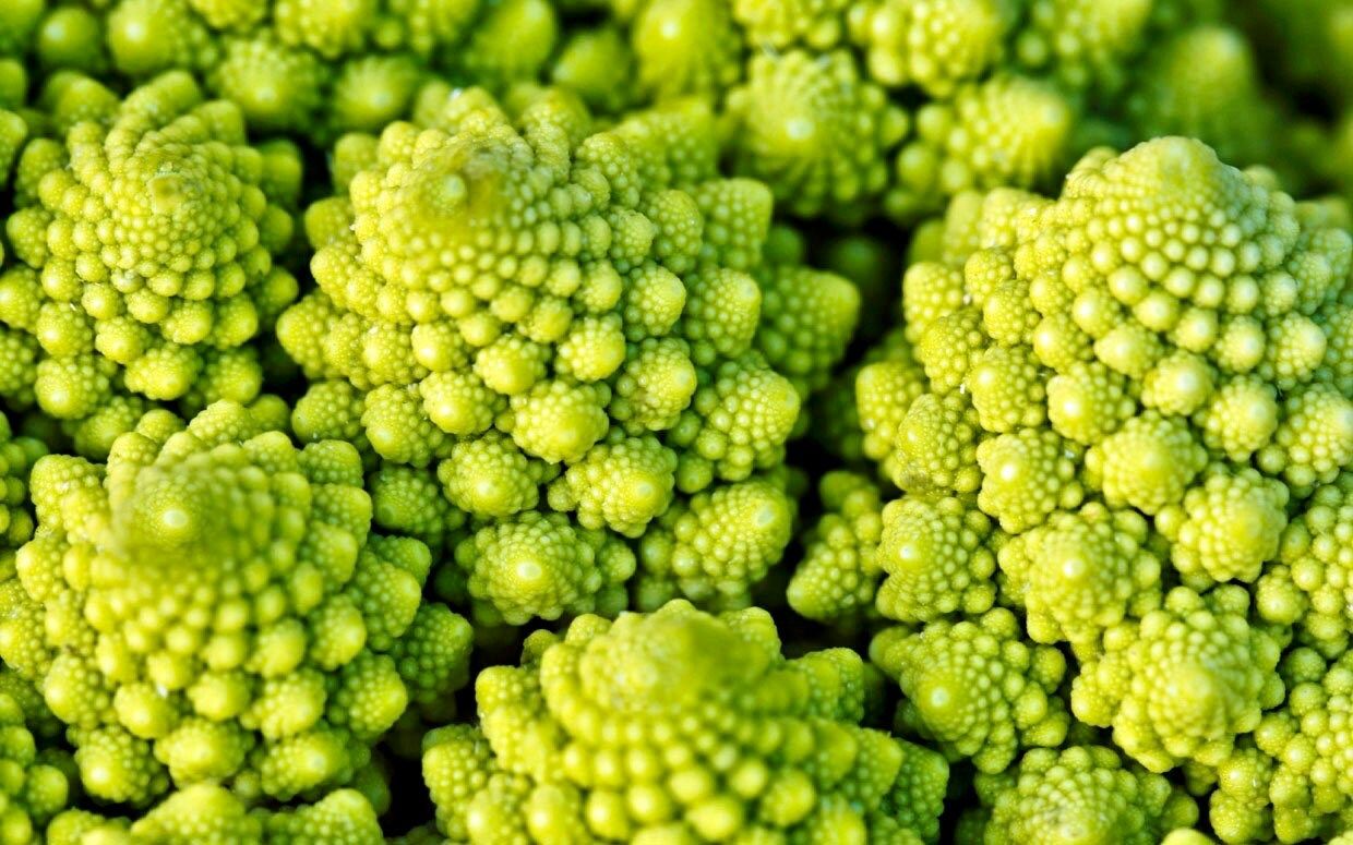 Chartreuse Romanesco Broccoli Seeds ~ Brassica Oleracea ~ Wild Cabbage ~ Broccoli ~ Heirloom ~ Grow Your Own ~ Vegetables ~ Veggies