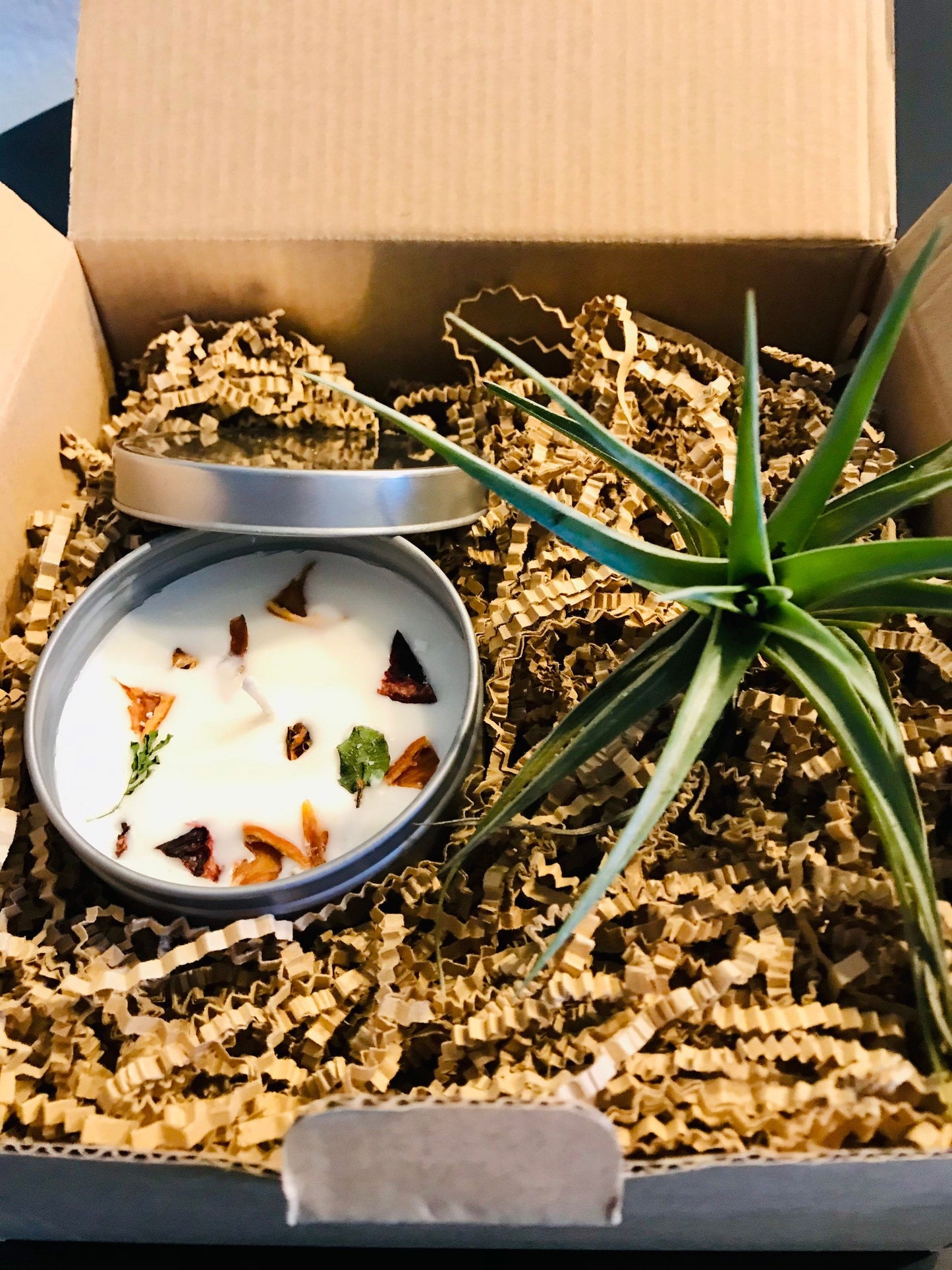 Air Plant & Candle Gift Box ~ Birthdays ~Thank You~ Congratulations ~ Housewarming~ ALL Special Occasions