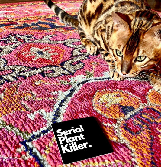 Serial Plant Killer. Sticker ~ Premium Waterproof Vinyl Stickers ~ Decorate ~ Decals ~ Sticker Lovers