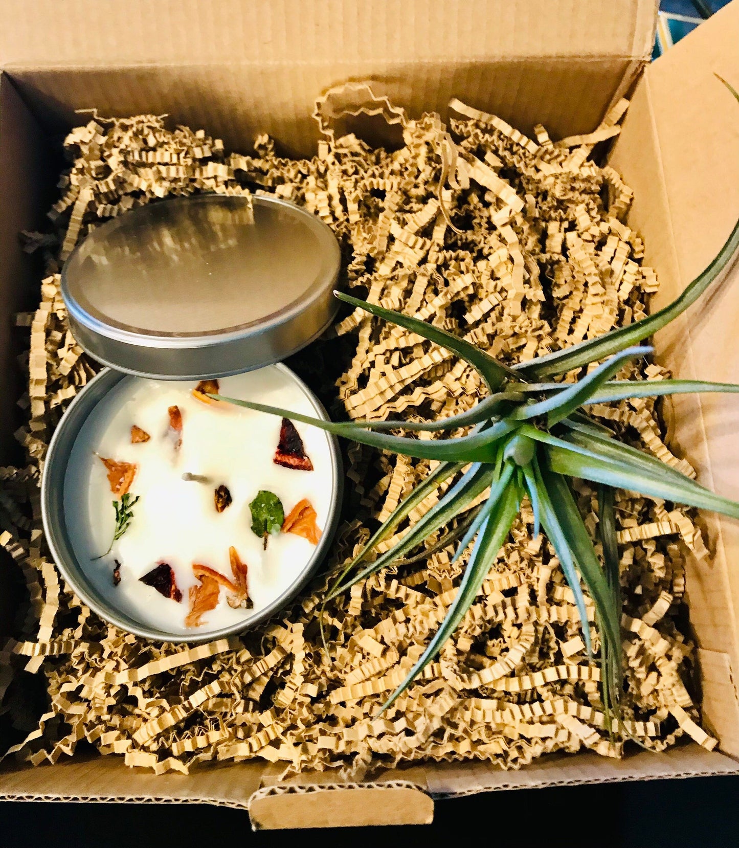 Air Plant & Candle Gift Box ~ Birthdays ~Thank You~ Congratulations ~ Housewarming~ ALL Special Occasions