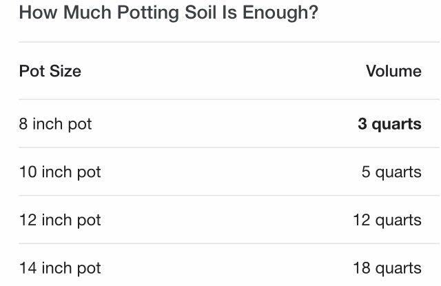 Your Plant Bitch’s Special Mixed Soil ~ Sensitive Plant Soil ~ Mimosa Pudica Soil ~ Hand-blended Soil ~ Organic